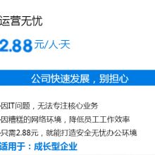 上海勝藍信息技術服務公司 專業(yè)系統(tǒng)集成與IT外包服務提供商