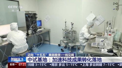 一線見聞丨順藤摸瓜 深圳科創(chuàng)青藤體系，如何賦能硬科技轉(zhuǎn)化？