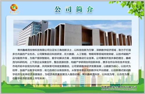 鑫峰茂 以技術(shù)服務(wù)為舟，奮力突破千層浪，勇者踏平萬重山